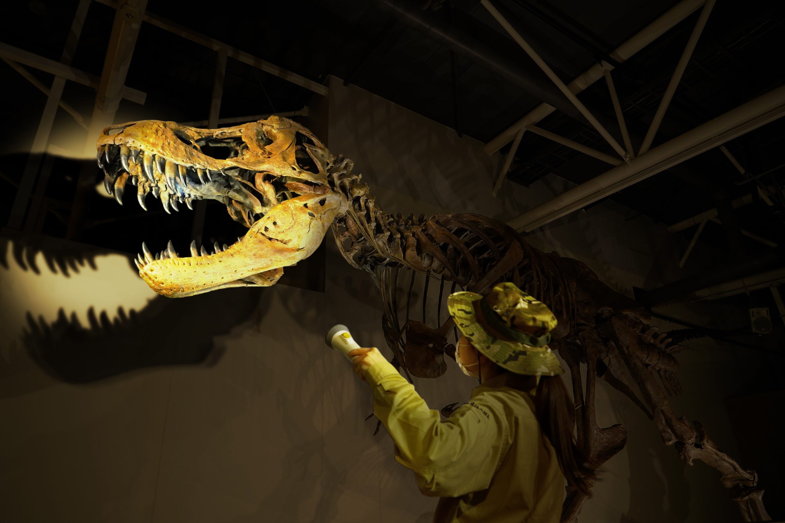恐竜アドベンチャー展　ナイトミュージアム
