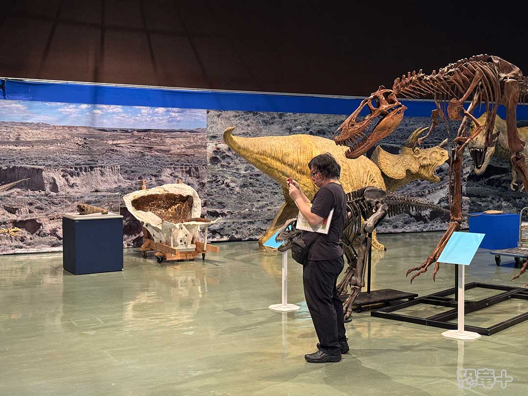 恐竜展プランナー