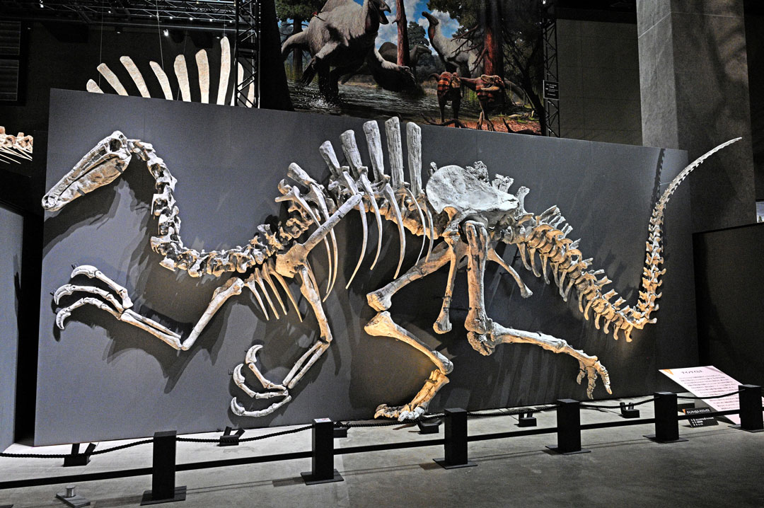 デイノケイルス